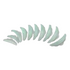 Ciaobrow Dolly Shields for Lifting Lash