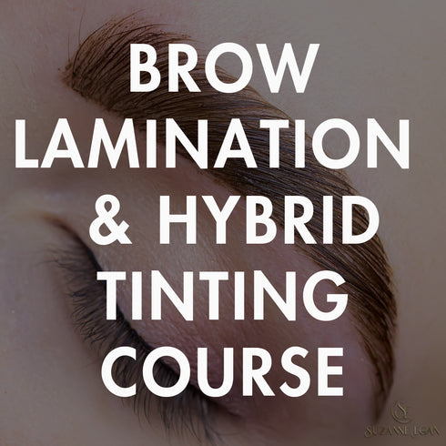 Brow Lamination Course incl. Hybrid Tinting
